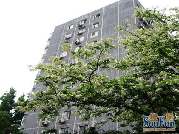 雙榆樹(shù)東里